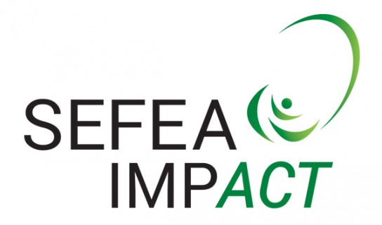 www.sefeaimpact.it