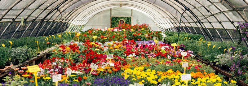 Fotografia Fotografia